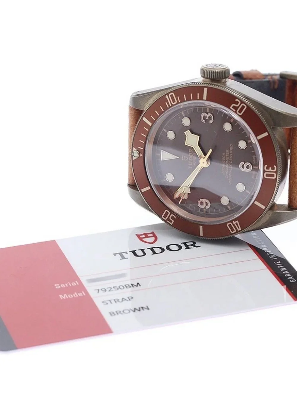 TUDOR Heritage Black Bay Bronze 79250BM Brown Dial Automatic Men's Watch_973282